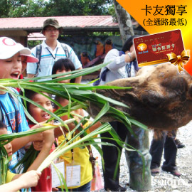 花蓮新光兆豐休閒農場．入園門票 (不分平假日) 238元