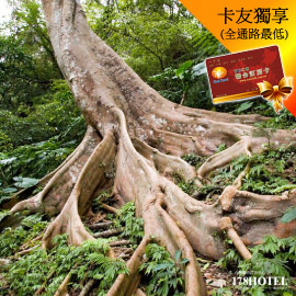 三峽大板根森林溫泉渡假村．入園門票78元 114/8/31止